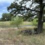 Fairlea Longhorn Ranch