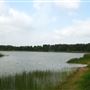 Lake Bryan