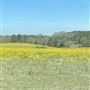 Bishop Property