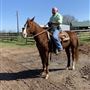 K-Hill Ranch