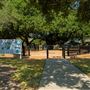 Freedom Tree Park