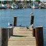 Rockport Harbor