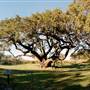 Goose Island State Park