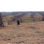 Mineola Nature Preserve