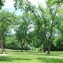Pecan Acres Park