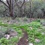 Panther Canyon Nature Trail
