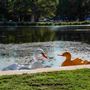 Landa Park