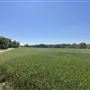 7D Hay & Cattle LLC