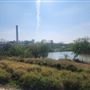 Historic Hidalgo District Fishing Lake