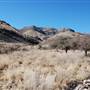Cibolo Creek Ranch