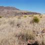 Cibolo Creek Ranch
