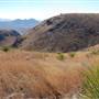 Cibolo Creek Ranch