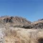 Cibolo Creek Ranch