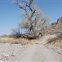 Cibolo Creek Ranch