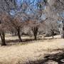 Cibolo Creek Ranch