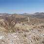 Cibolo Creek Ranch