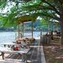 Ski Shores Cafe