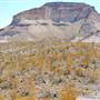 Big Bend Ranch State Park - Three Dike Hill