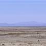 Ranch Road 505