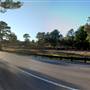 HWY 21 (East of Bastrop)