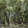 Bear Creek Nature Park