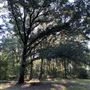 Flournoy Farm