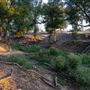 Little Elm Park