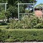 Rose Garden & Historic Market Depot
