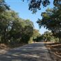 Jones Road