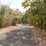 Lockhart State Park