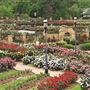 Tyler Municiple Rose Garden