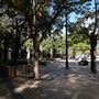 Austin