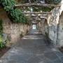 The Alamo