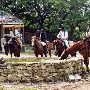 Enchanted Springs Ranch