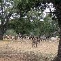 Enchanted Springs Ranch