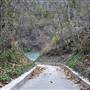 Palmetto State Park