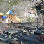 Ski Shores Cafe