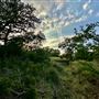 Chick Ranch