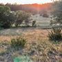 Chick Ranch
