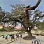 Chick Ranch