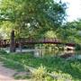 Hike & Bike Trail at Lady Bird Lake