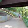 Hike & Bike Trail at Lady Bird Lake
