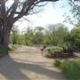 Hike & Bike Trail at Lady Bird Lake