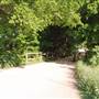 Hike & Bike Trail at Lady Bird Lake
