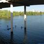Hike & Bike Trail at Lady Bird Lake