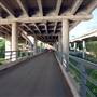 Hike & Bike Trail at Lady Bird Lake