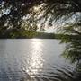 Hike & Bike Trail at Lady Bird Lake