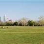 Zilker Metropolitan Park