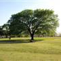 Zilker Metropolitan Park