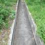 Phil Hardberger Park